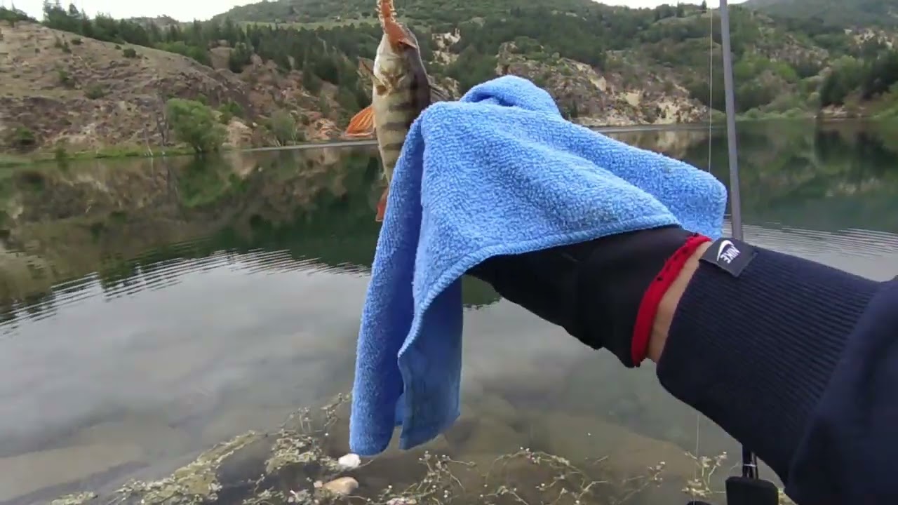 TROFE PERCH AVI , ONLARCA PERCH YAKALADIK