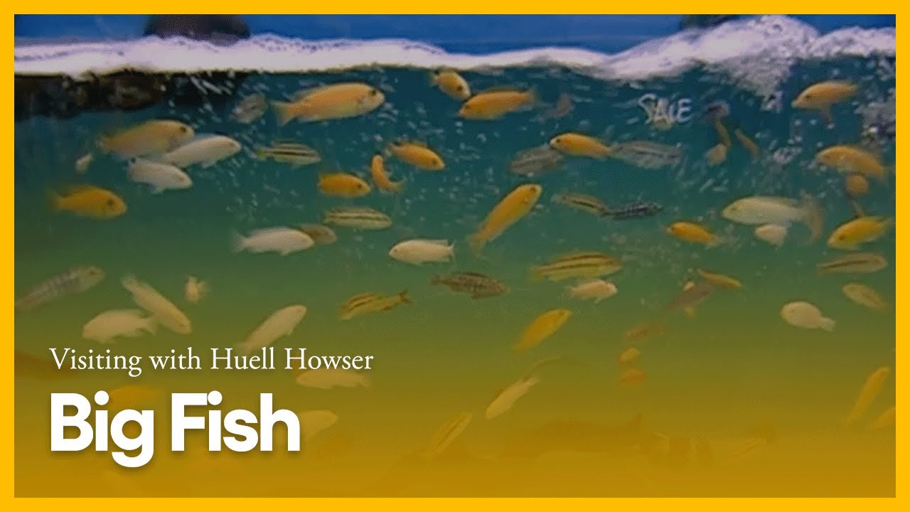 Big Fish | Visiting with Huell Howser | PBS SoCal