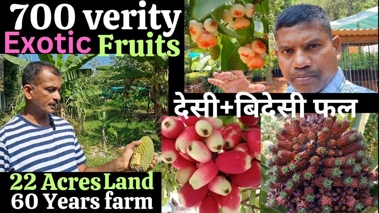 Exotic fruit farming in India, 700 verities fruits, देसी और बिदेसी फल, #fruitfarming