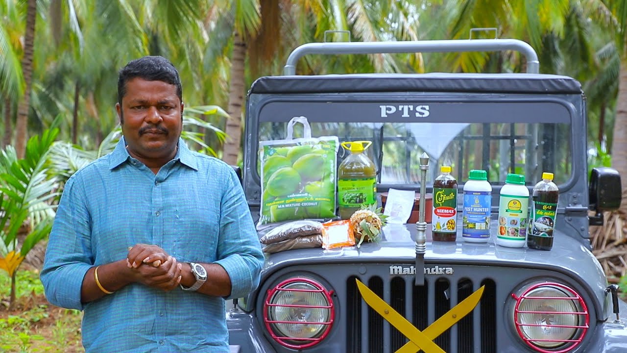 தென்னை வண்டுகள்&பூச்சிகளை இயற்கையான முறையில் கட்டுபடுத்தும் வழிமுறைகள்/Coconut Pest by Tamil.......