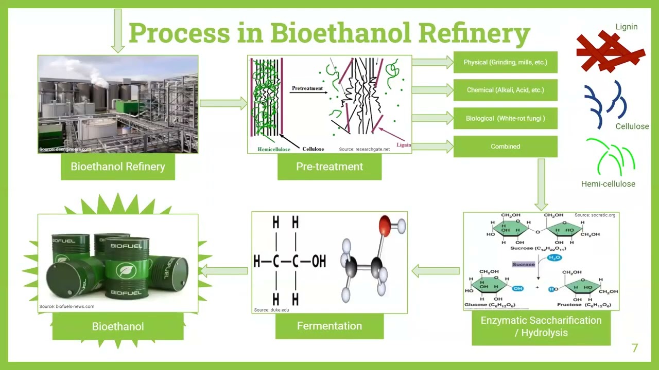 Mech 450D Project - Bioethanol Production from Rice Straw