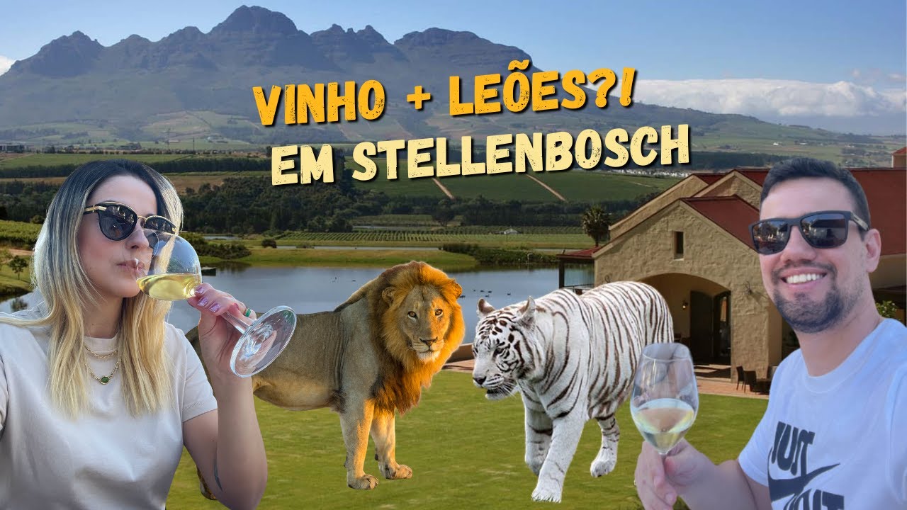 Entre vinhos e leões: conhecendo Stellenbosch, na África do Sul