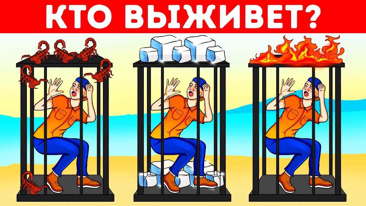 Большой турнир с загадками для самых умных мыслителей