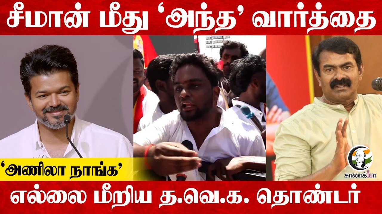 Seeman மீது 'அந்த' வார்த்தை 'அணிலா நாங்க' எல்லை மீறிய TVK தொண்டர் | Madurai Maanadu | Vijay | TN