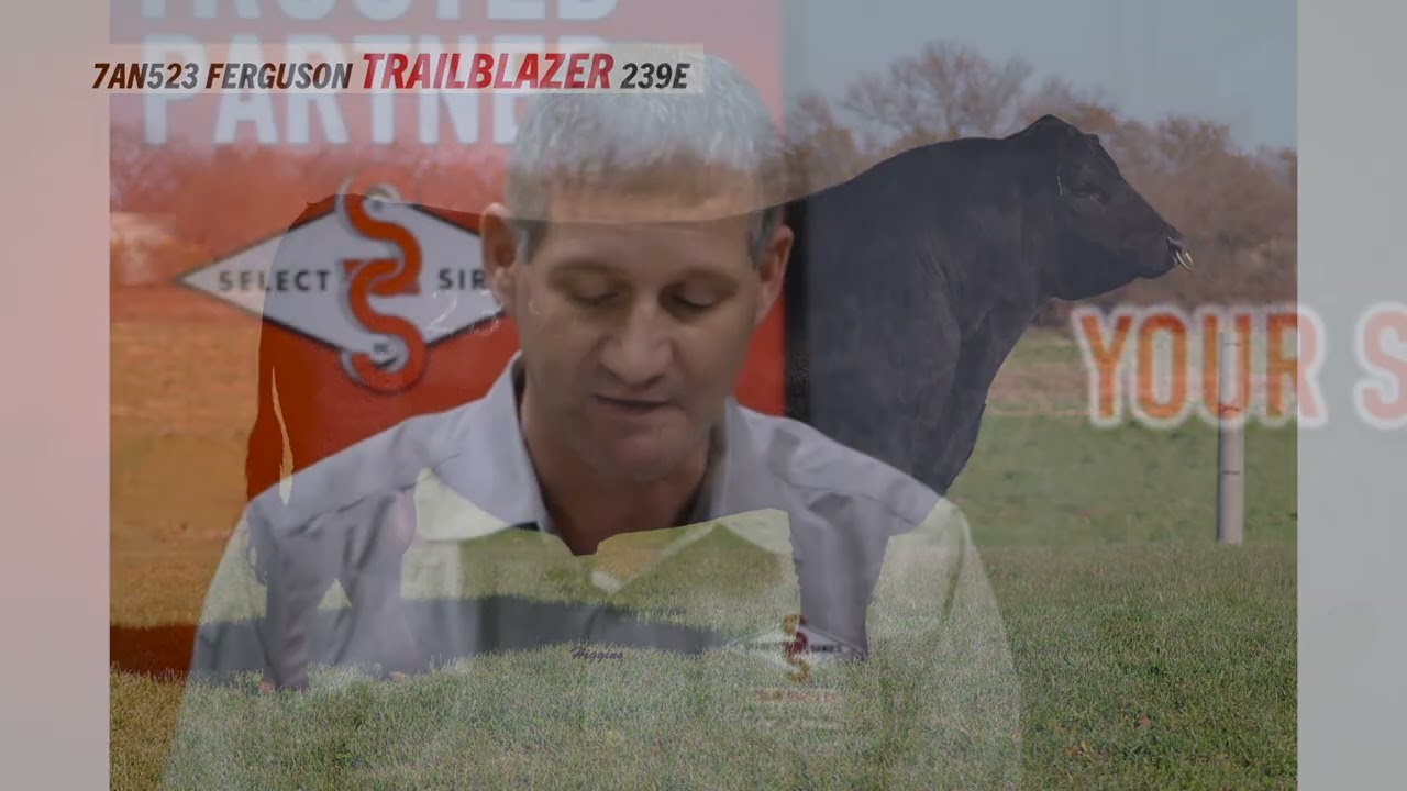 The Select Series 2022: Angus Breed Leaders - Growth and Performance Leaders!