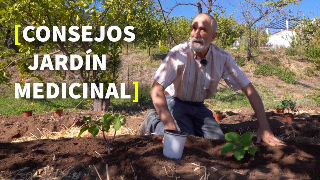 CONSEJOS para HACER un JARDIN MEDICINAL  | PARTE 2 - [PERMACULTURA]