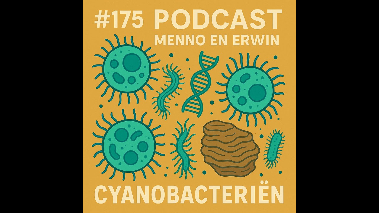 🎧 # 192 Blauwalgen zijn geen algen maar wel blauw; en ze zijn net zo bijzonder als vervelend