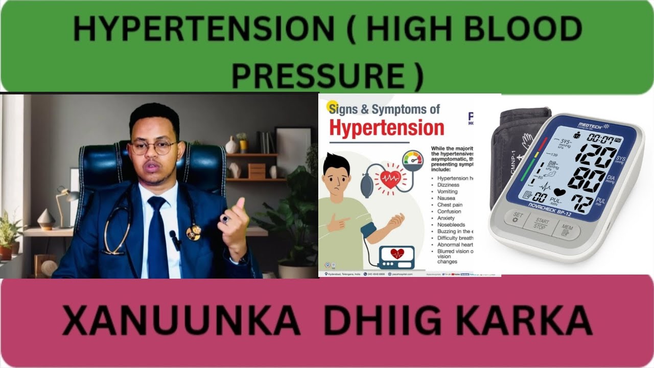 HYPERTENSION  ( HIGH BLOOD PRESSURE  ) wax ka ogow xanuunka dhiig karka ( Dr. Ayanle Ali Mohamoud )