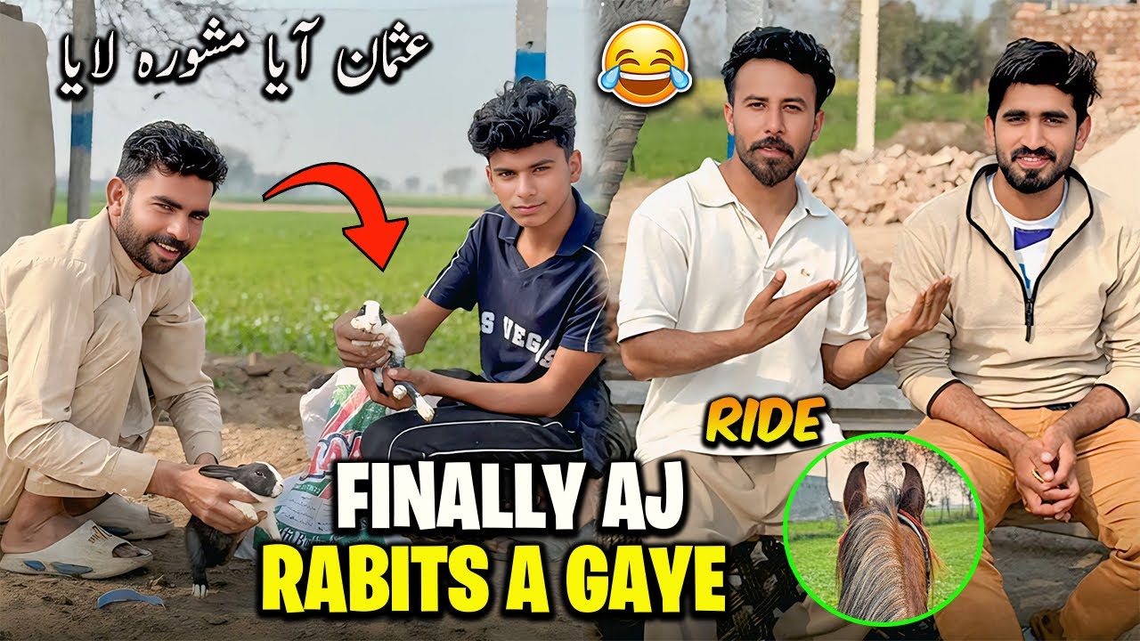Finally Rabits Aa Gaye😍🐇Usman b aa hi Gaya Finally Or Mashwara b ly aya😂😂