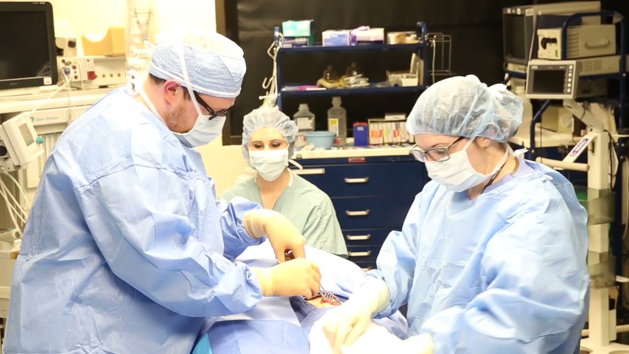IntraOp Inguinal Hernia 1