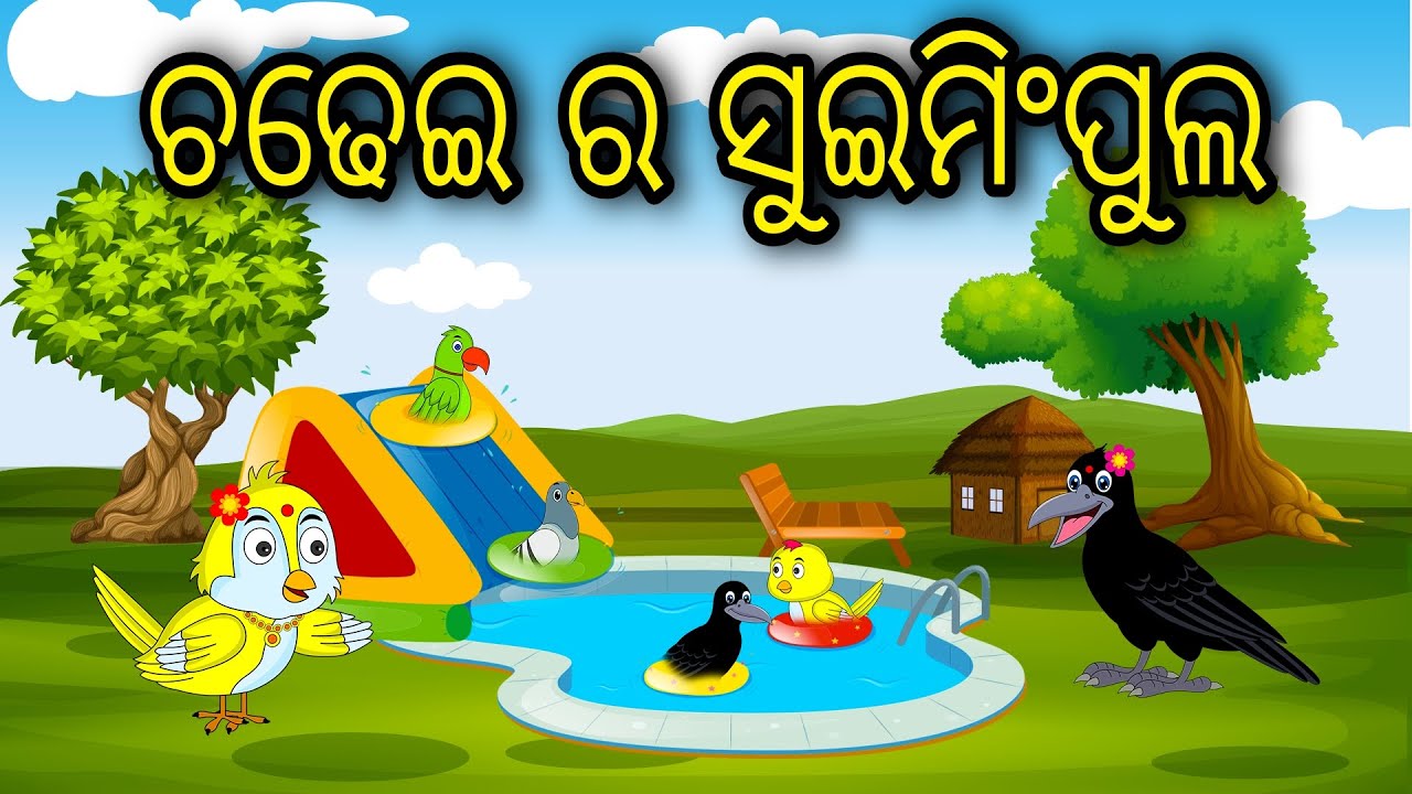 Chadhei Ra Swimming pool | Odia Cartoon |Odia Bird Stories| Odia Chadhei Gapa| Odia Moral Story