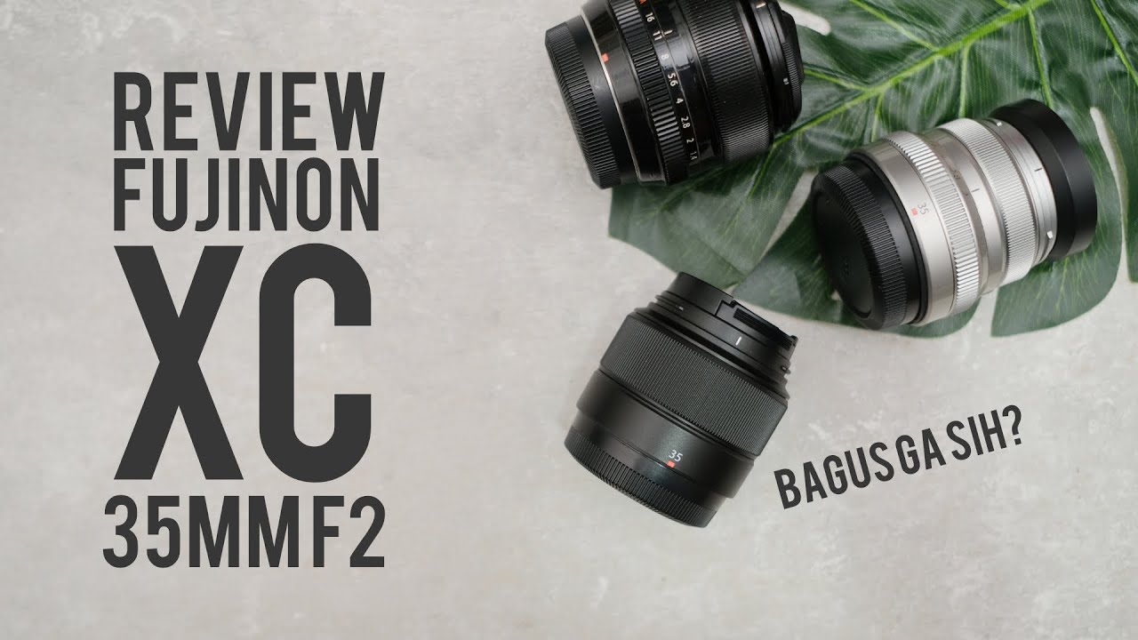[ Review ] lensa 