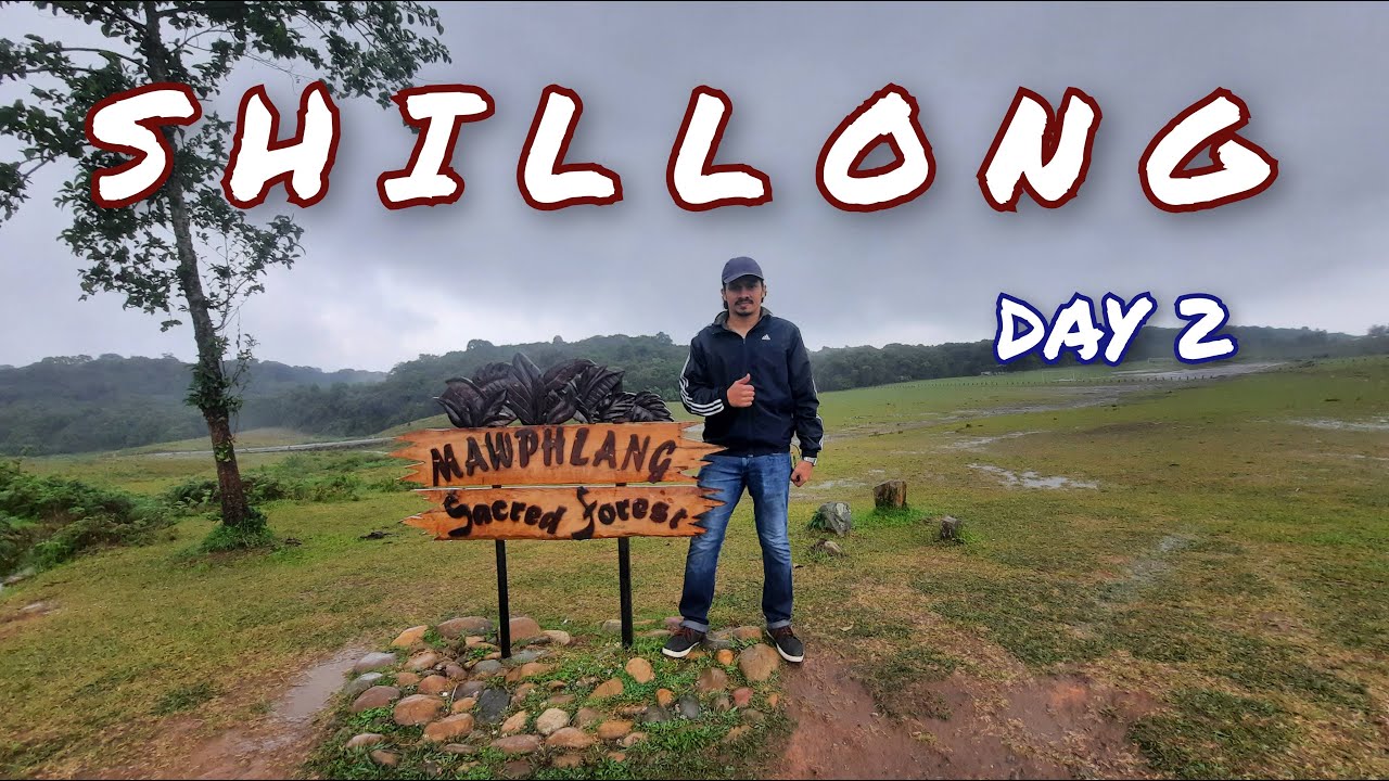 Mawphlang Sacred Forest | Elephant Waterfalls | KGF Craze in Meghalaya | Magical Meghalaya Ep 2