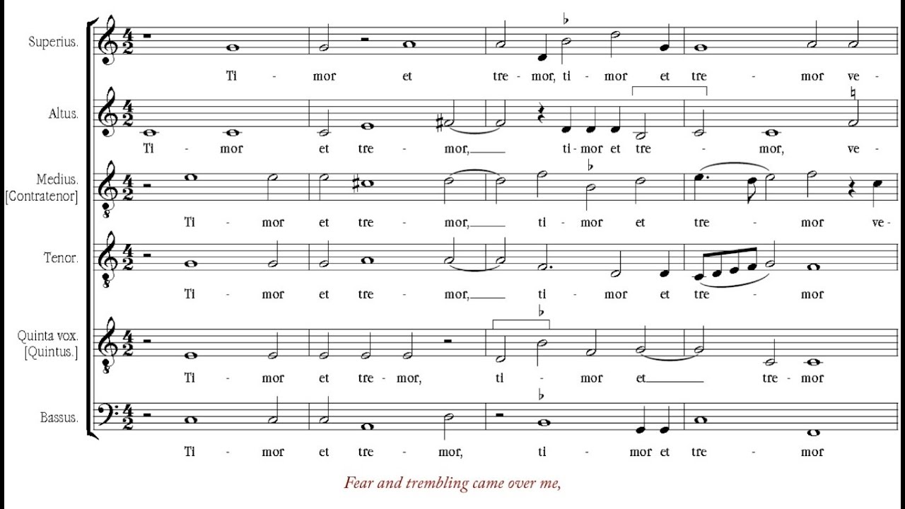 Lassus | Timor et tremor [á 6; Singer Pur]