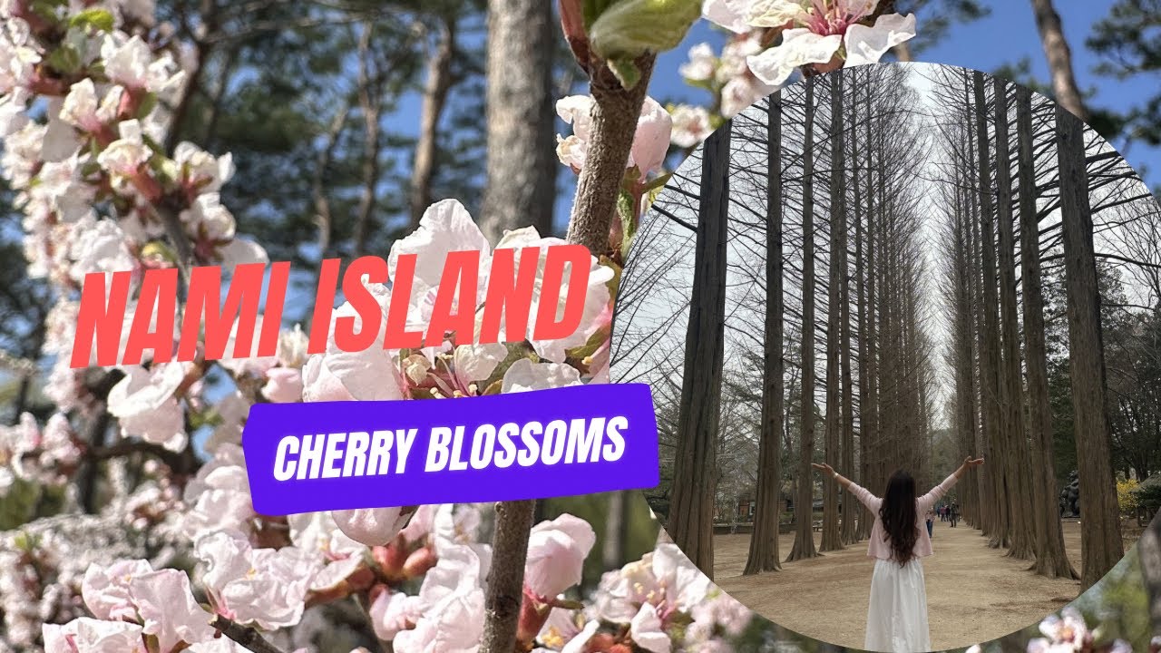 Spring in Seoul and Nami Island is so magical | Cherry Blossoms Vibes in South Korea