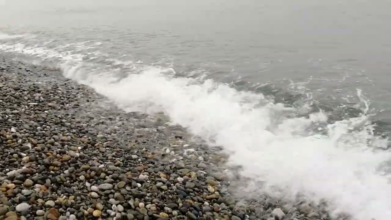 Шум Черного моря, Сириус, 25.02.2022, 8:19