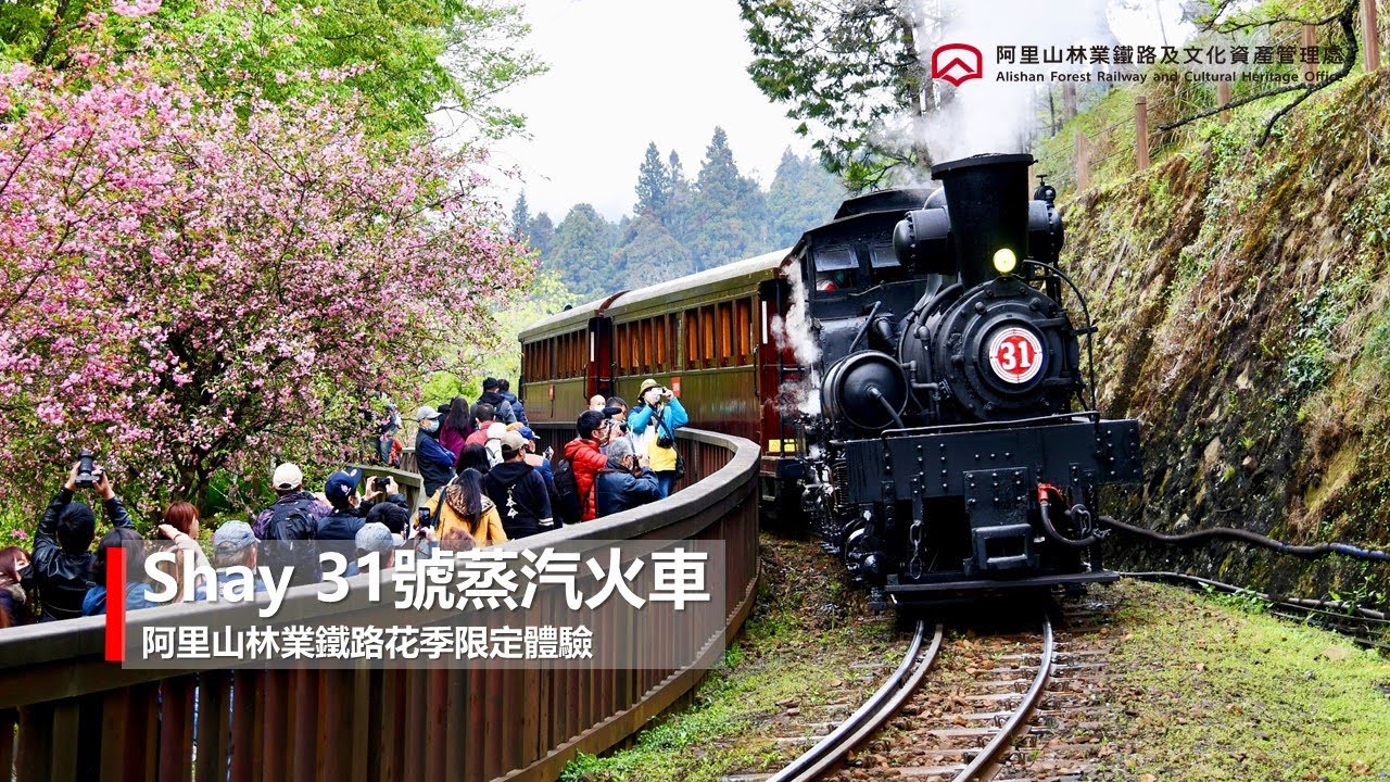 《Shay 31號蒸汽火車》阿里山林業鐵路花季主題列車限定體驗