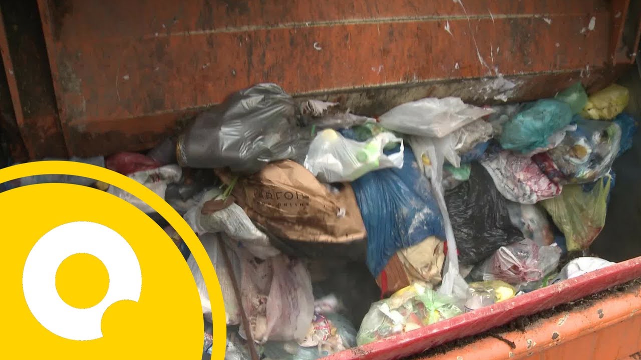 Nowe zasady segregacji śmieci. Zmiana na lepsze?  | OnetNews
