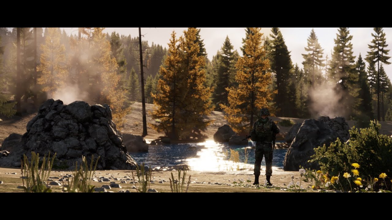 BTGG Yellowstone!! SFB commander!