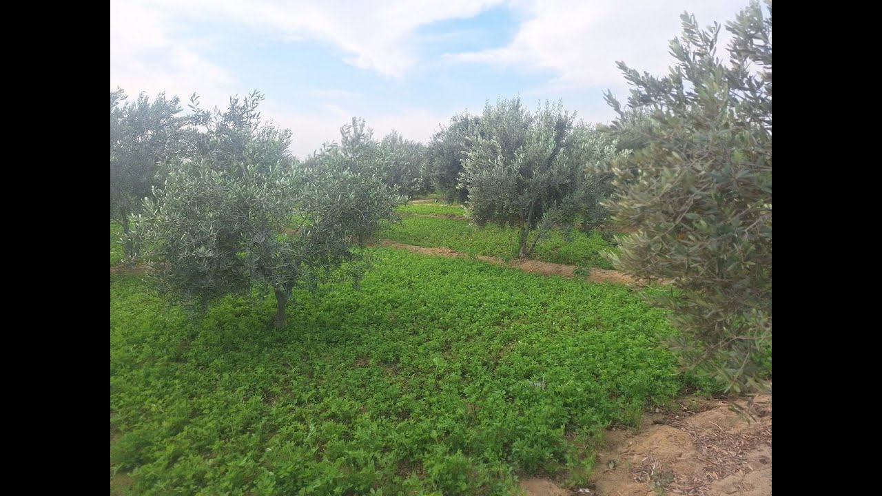 مزرعة 7 فدان في وادي النطرون