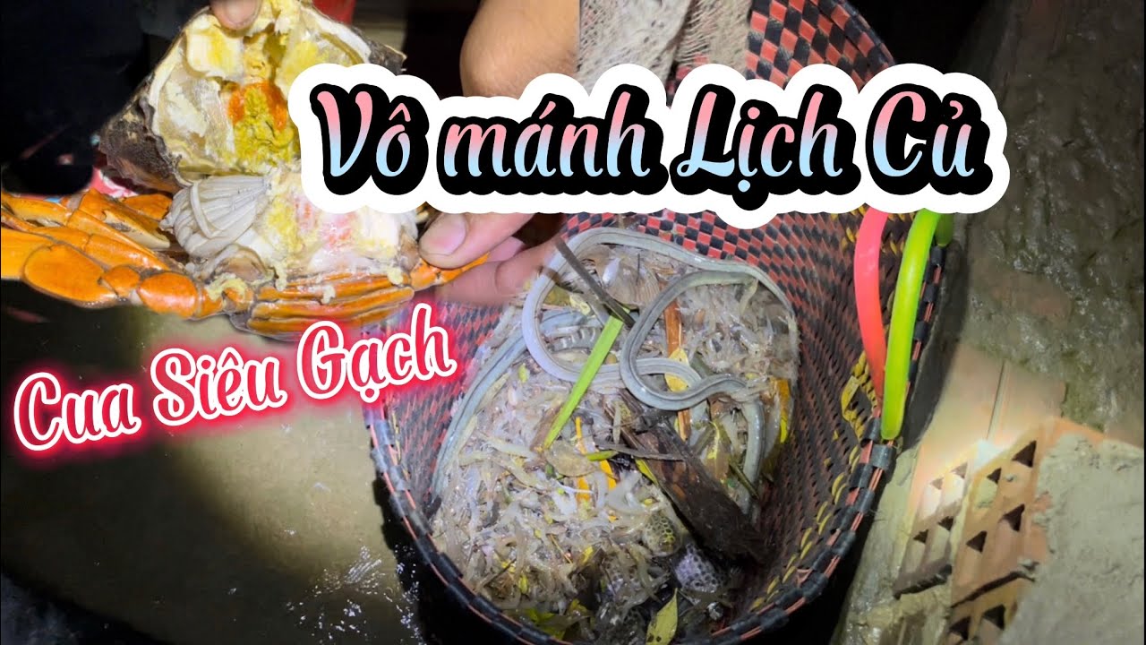 Qui Trình Xổ Đục của dân Đầm. Đổ Đục trúng ổ Lịch Củ,hàng hiếm lâu lâu mới về.