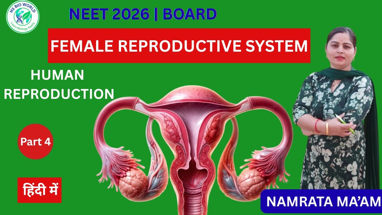 Human Reproduction Part4 | Female Reproductive System | Complete Anatomy & Physiology | NEET Biology