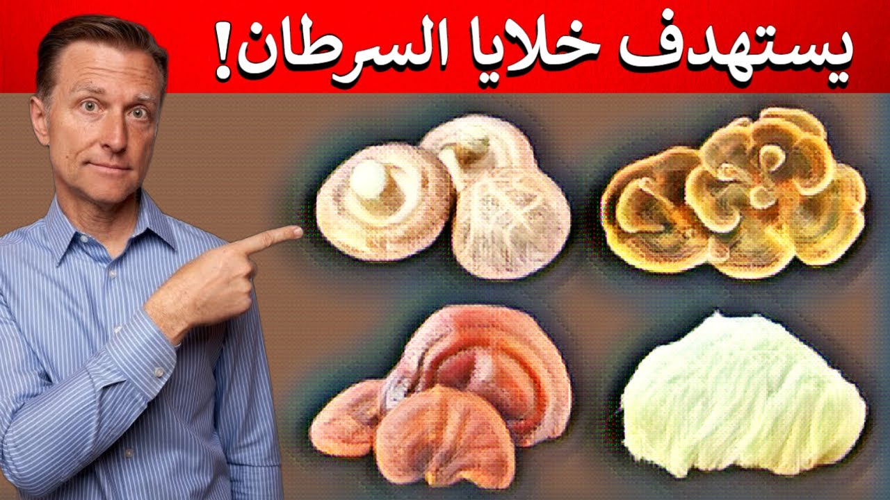 أربعة أنواع للفطر فوائدها أقرب للخيال