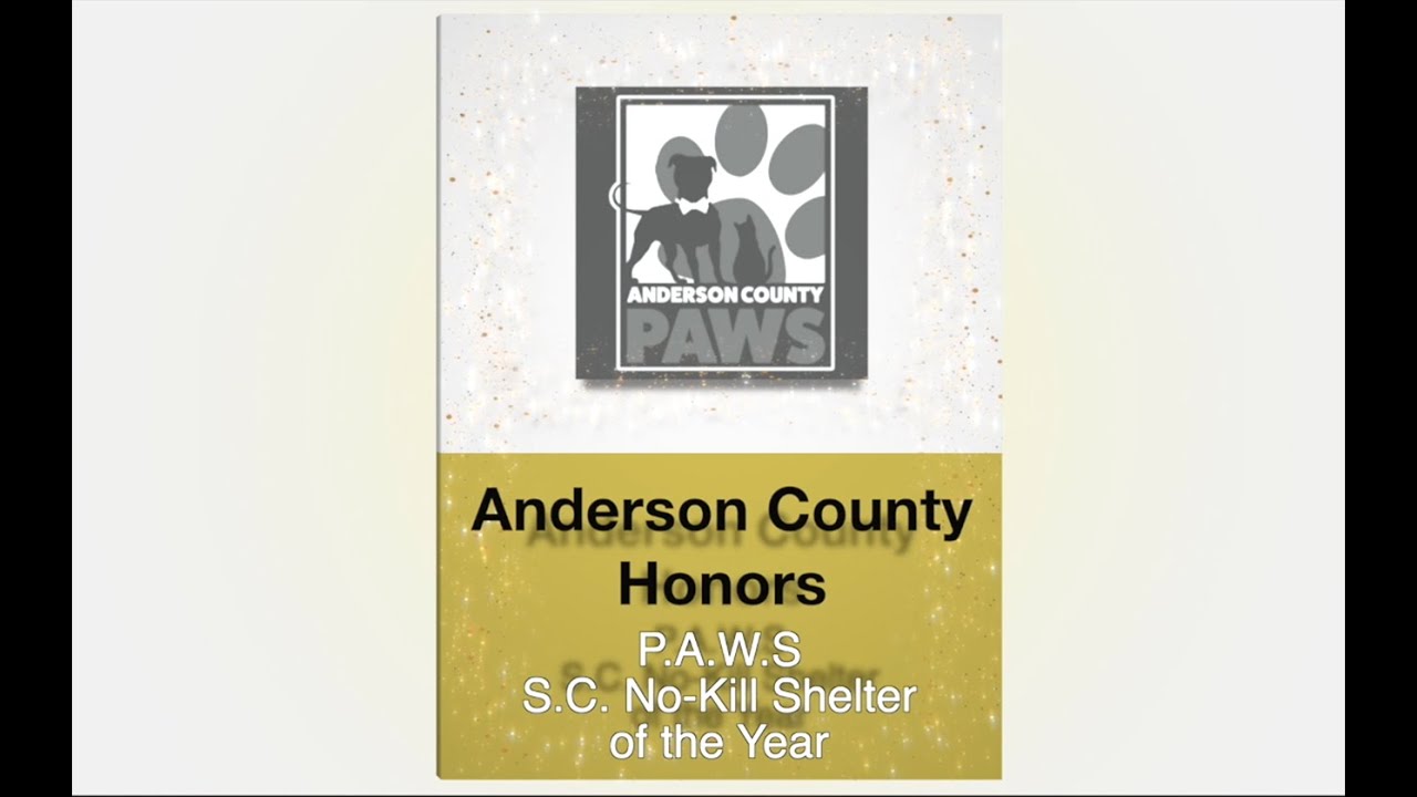 Council Honors PAWS for State Award