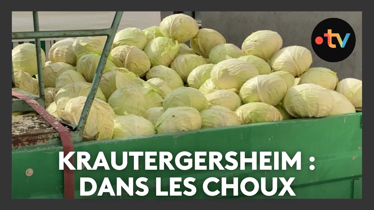 Un lieu, des histoires à Krautergersheim : dans les choux - Episode 1/4