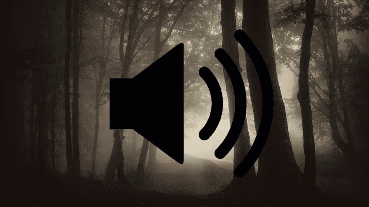 Night In The Woods ~10 Hour Loop With Sound~