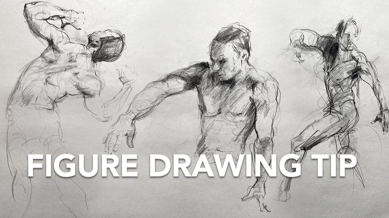 A Rule for Better Figure Drawing