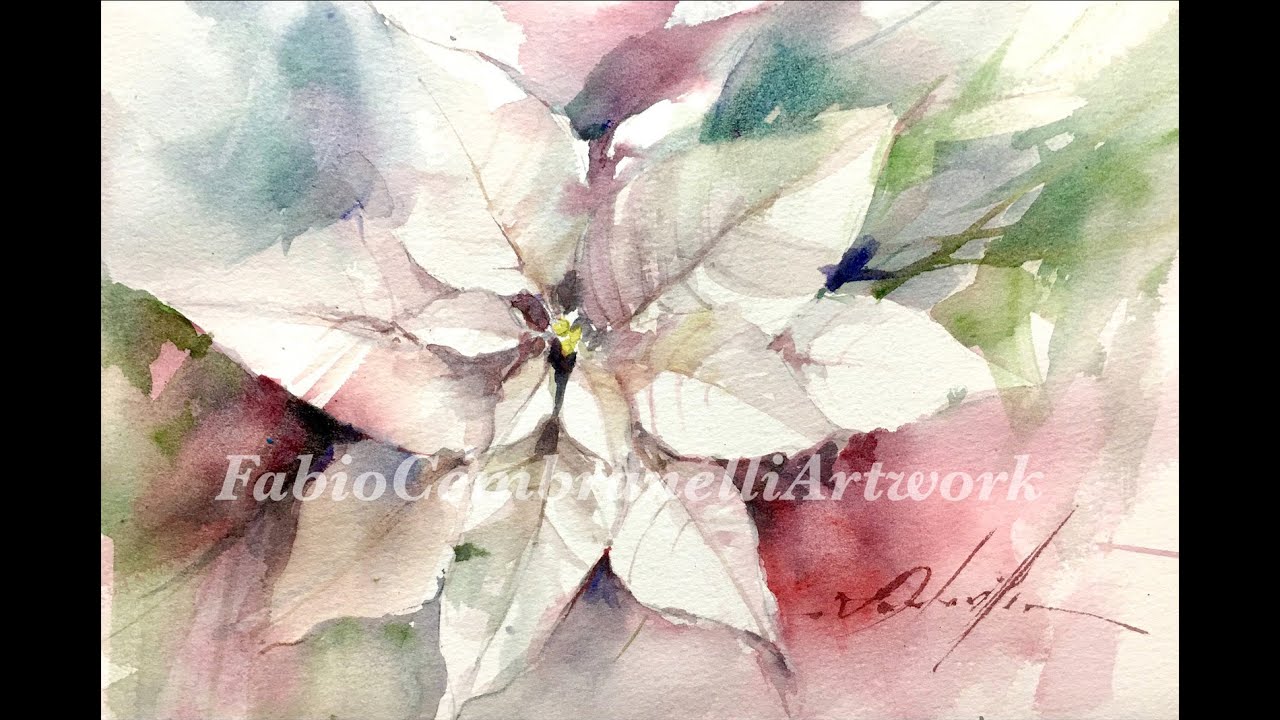 Watercolor/Aquarela -Demo - White Poinsettia