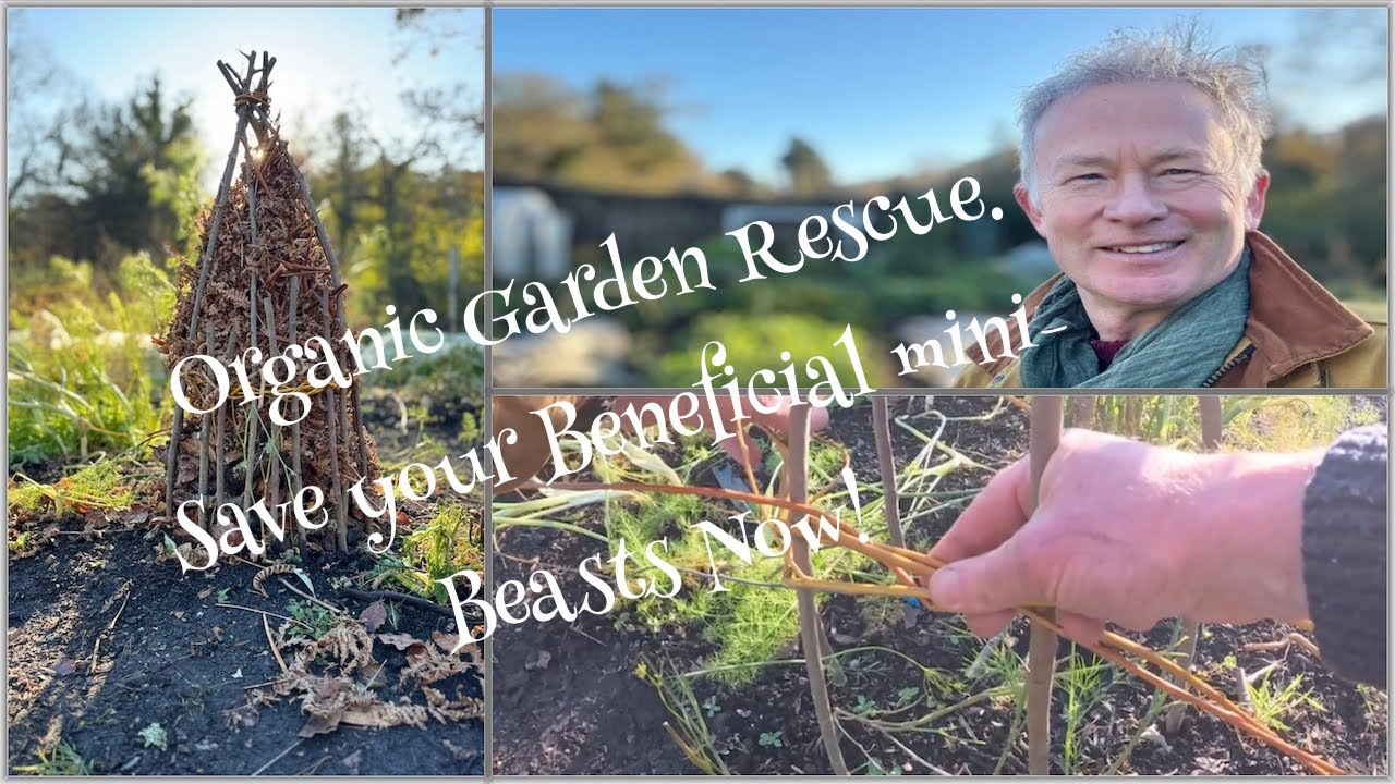 Protect Your Organic Garden's Secret Weapon: Mini Beasts!