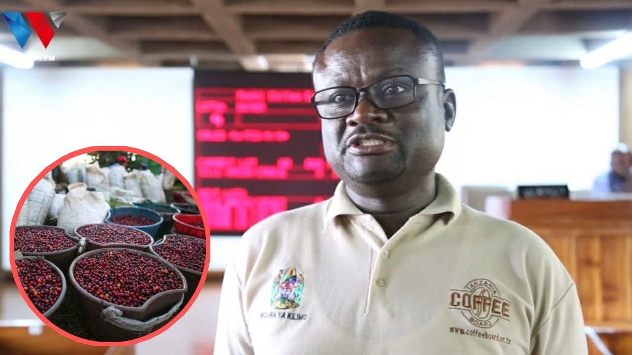 MAUZO YA KAHAWA YAVUNJA REKODI, BODI YATAJA SABABU YA BEI KUPAA