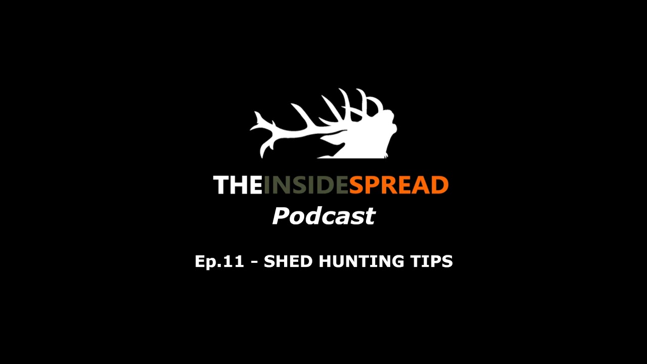Ep. 11 - Shed Hunting Tips