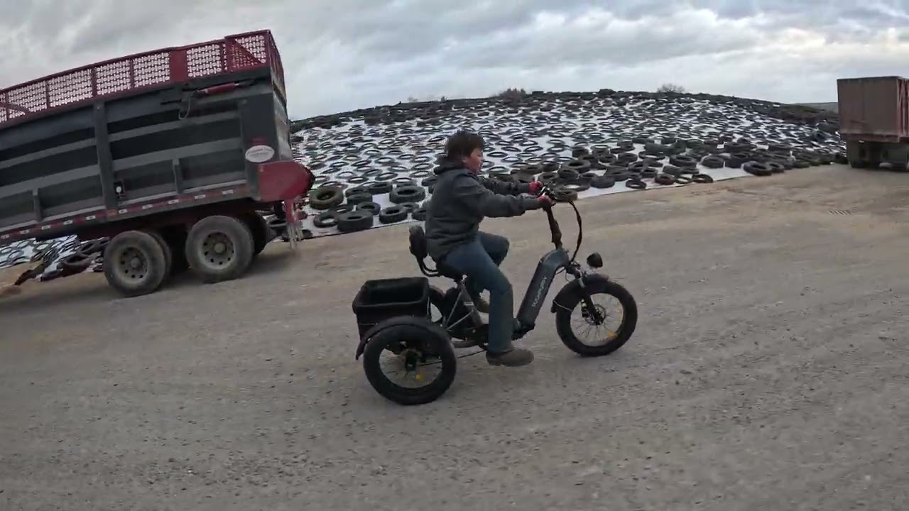 Puckipuppy Husky Tricycle Electric Bike