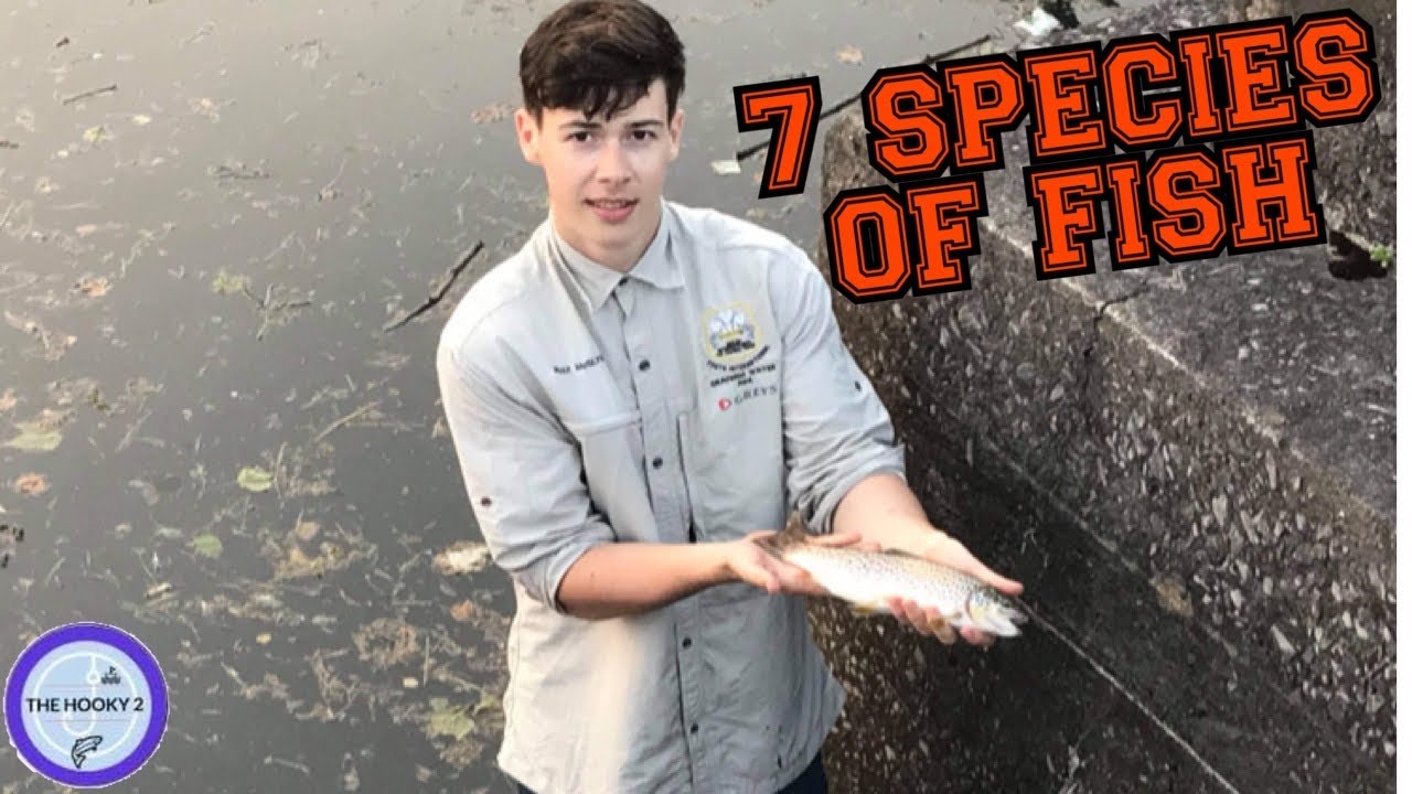 SWANSEA MARINA FISHING UK - SPECIES HUNT