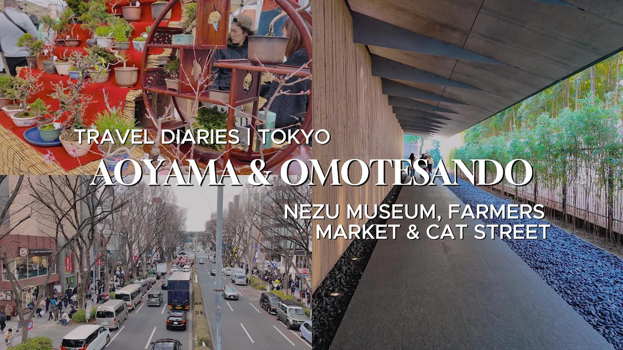 Hidden Gems of Tokyo: Aoyama & Omotesando Adventure | Nezu Museum, Farmers Market & Cat Street