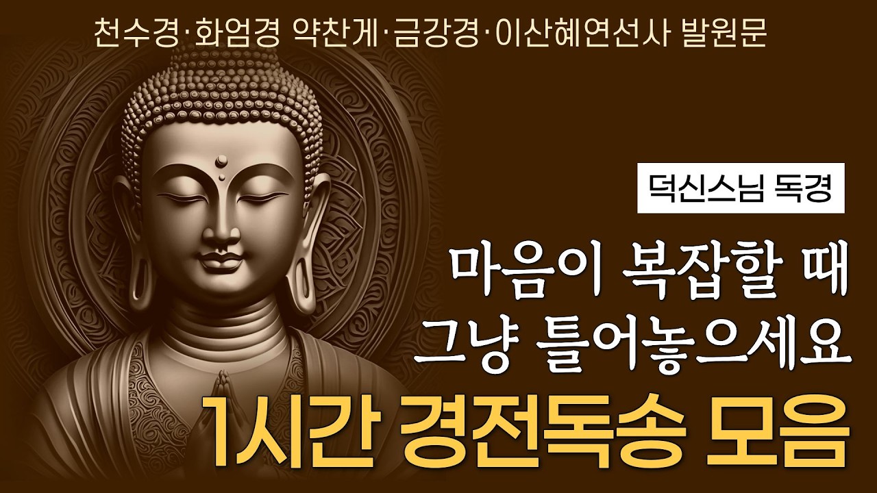 마음의 평화를 얻고 업장을 소멸하는 독경 모음 (1시간) | 덕신스님 독경 | 천수경 금강경 화엄경약찬게 이산혜연선사발원문