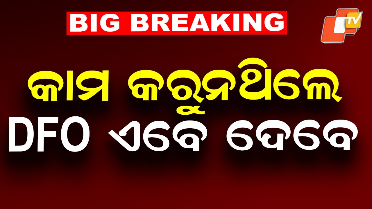 Baliguda DFO Served Show-Cause Notice Over Elephant Death Case