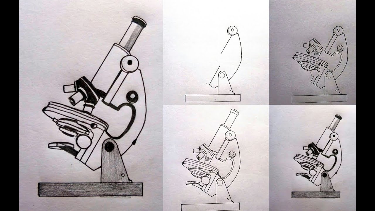 How to draw compound microscope step by step //  যৌগিক অনুবীক্ষন যন্ত্র
