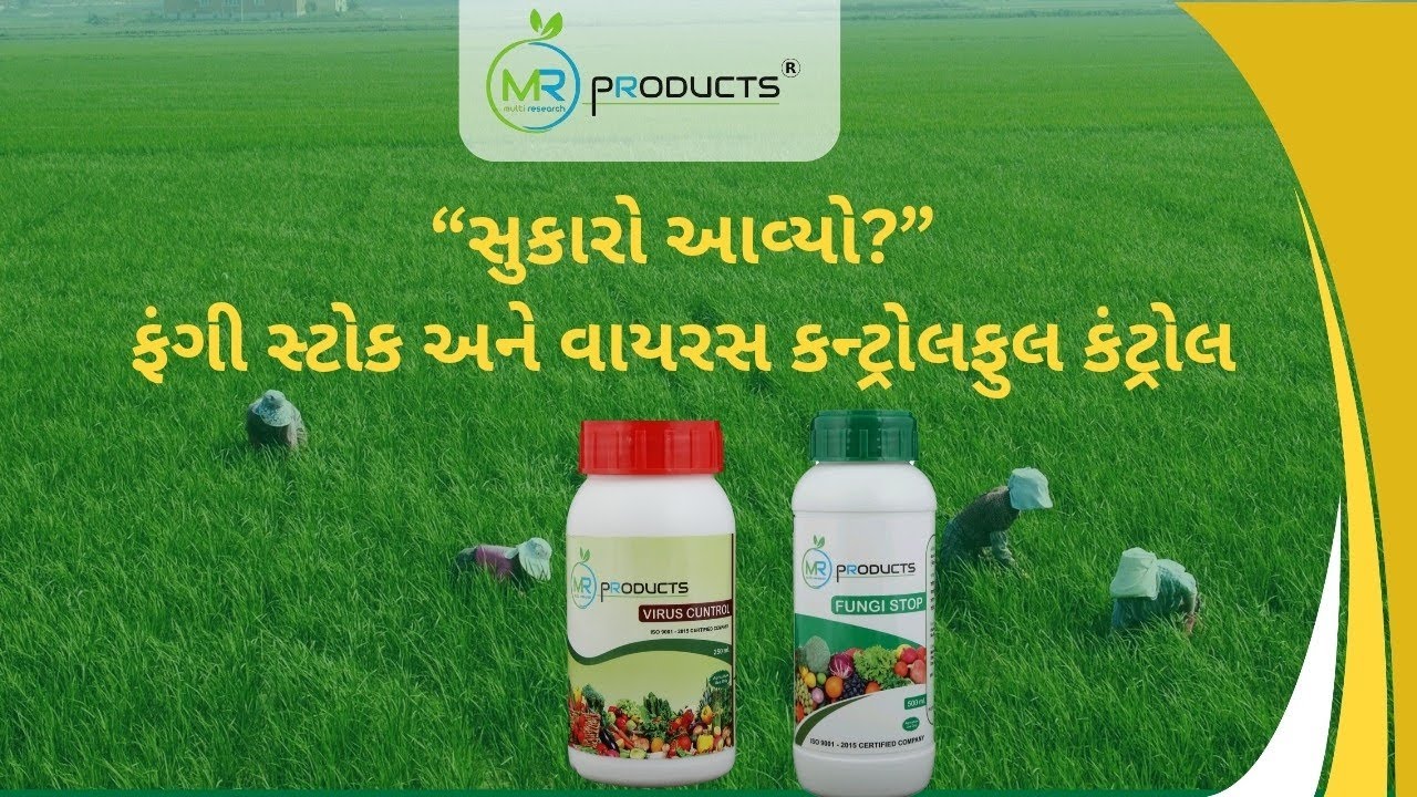 જીરા ખેતીમાં ફેરફાર સ્પષ્ટ, રિઝલ્ટ લાજવાબ 😍🔥