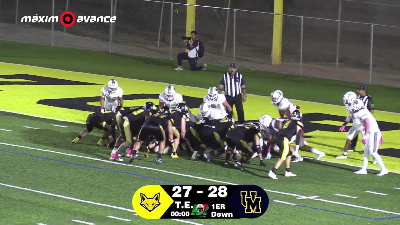 M&Aacute;XIMO AVANCE EN VIVO: PUMAS CU vs ZORROS CETYS | LIGA MAYOR | ONEFA | TEMPORADA 2025