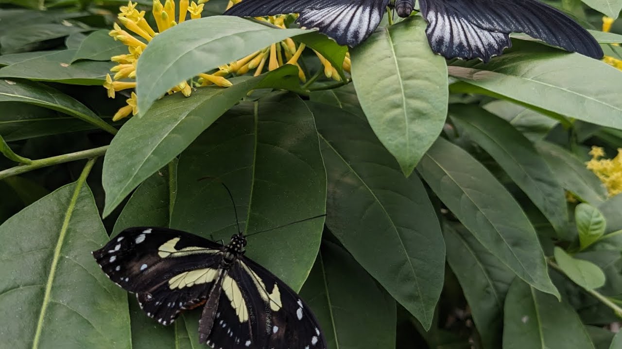 Fungi hear your pain, bro. 