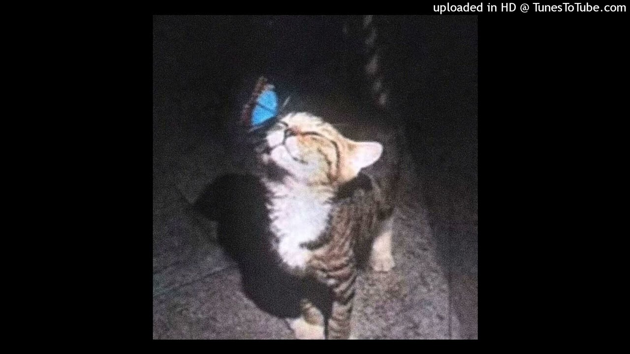 [FREE] ivycraft, madk1d, темный принц boombap type beat - heart asunder (prod by 90n1ght, pcheloq)