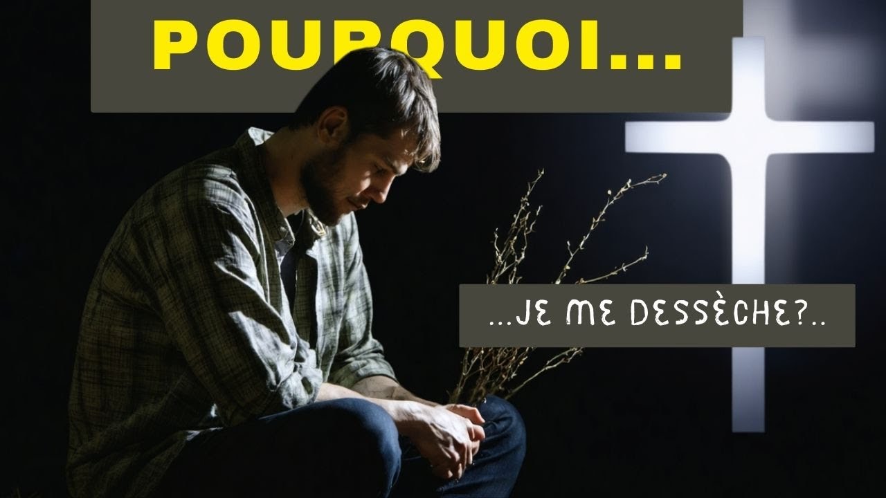 Demeurez en Moi : pourquoi tant de vies se dessèchent 
