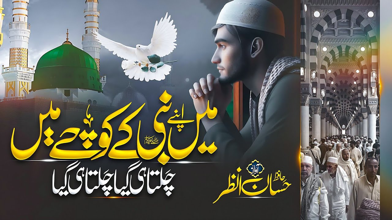 New Heart Touching Naat | mein apne nabi ke kooche mein | Hafiz Hassan Anzar | New Naat Sharif 2024
