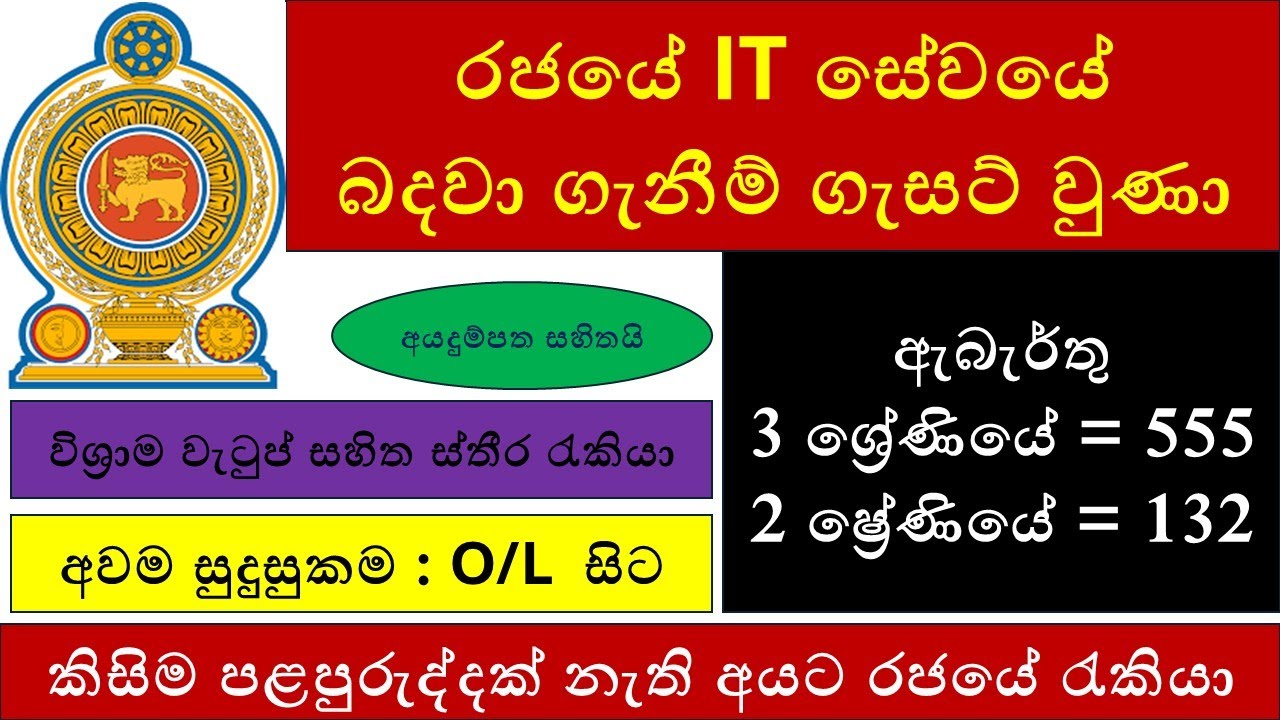 රජයේ රැකියා 687 ක් සදහ අයදුම්පත් කැදවීම ආරම්භ වුණා : තොරතුරු හා ස්න්නිවේදන තාක්ෂණ සේවයේ 3 සහ 2