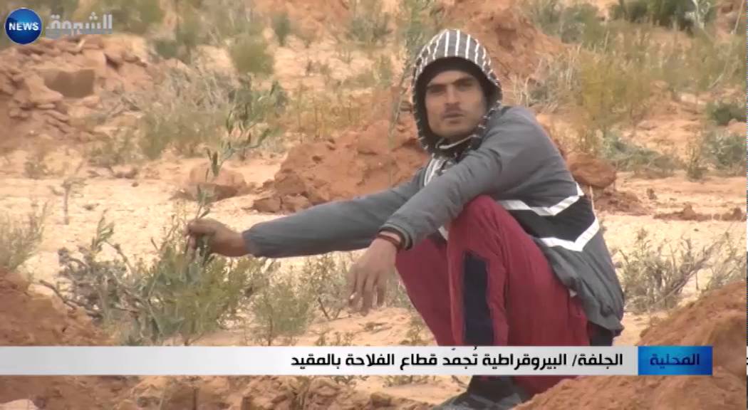 الجلفة: البيروقراطية تجمد قطاع الفلاحة بالمقيد