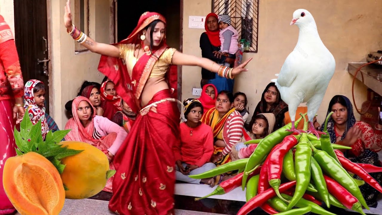 Nai Bahu ka vairal dance//गुड़िया भाभी का न्यू तड़का डांस#new dehati nach geet 🤩 🌹
